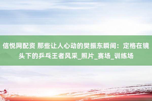 信悦网配资 那些让人心动的樊振东瞬间：定格在镜头下的乒乓王者风采_照片_赛场_训练场