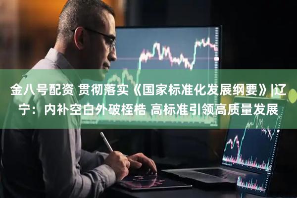 金八号配资 贯彻落实《国家标准化发展纲要》|辽宁：内补空白外破桎梏 高标准引领高质量发展