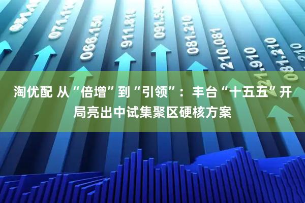 淘优配 从“倍增”到“引领”:丰台“十五五”开局亮出中试集聚区硬核方案